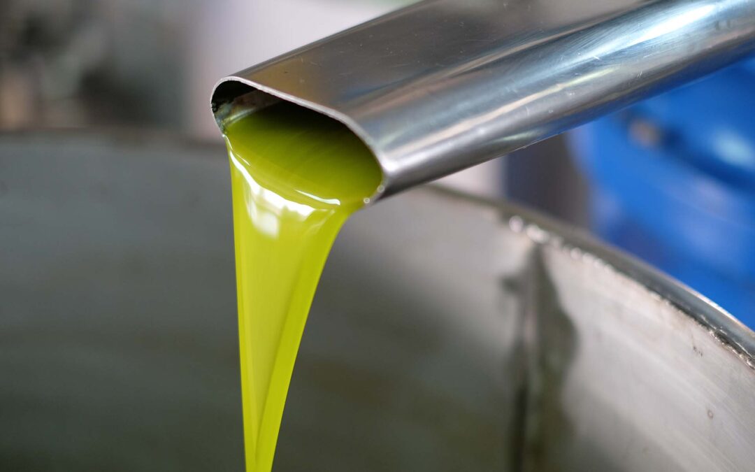 PAC post 2020, elementi per una nuova strategia per il settore olivicolo-oleario
